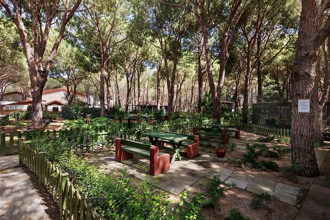 BELLIS DELUXE HOTEL