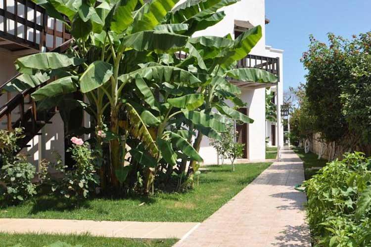 LİONA BUTIKHAN BEACH & DELUXE OTEL