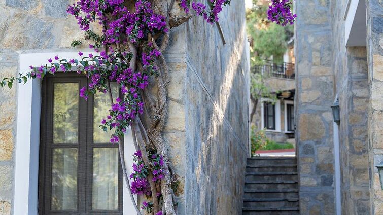 Bodrum Park Resort
